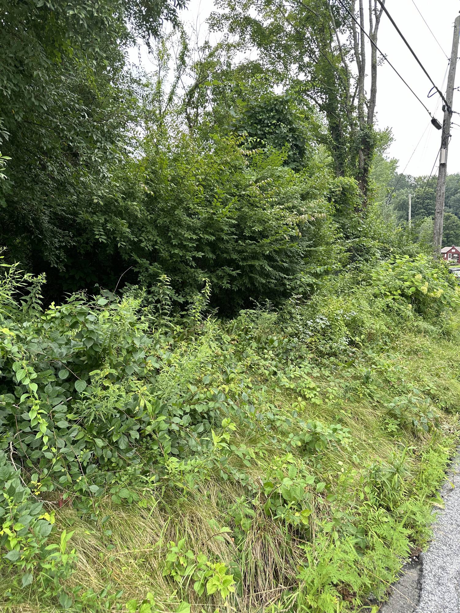 Beautiful residential land